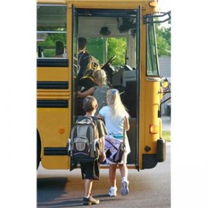 bus