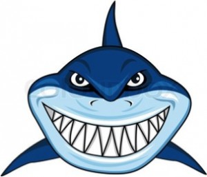 shark